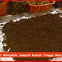 Limbah Rumah Tangga Termasuk Sampah Apa